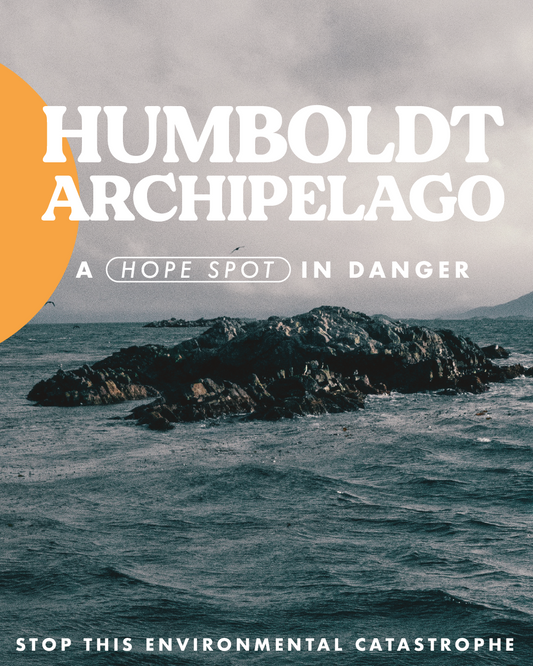 The Humboldt Archipelago is in danger